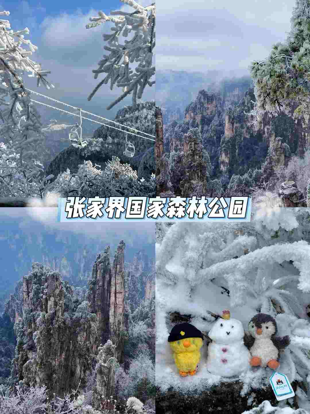 31334